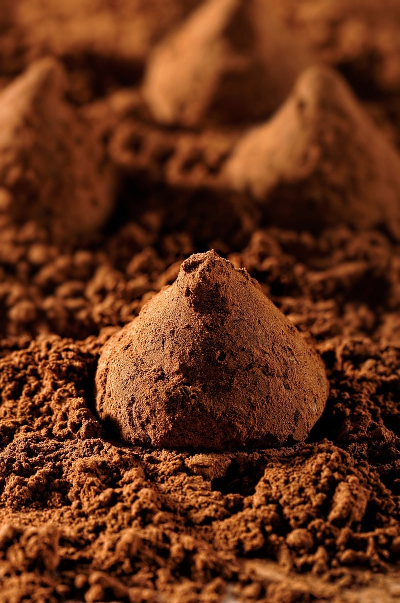 Artisanal Chocolates